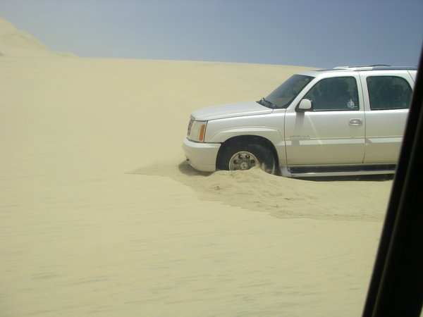Dune bashing
