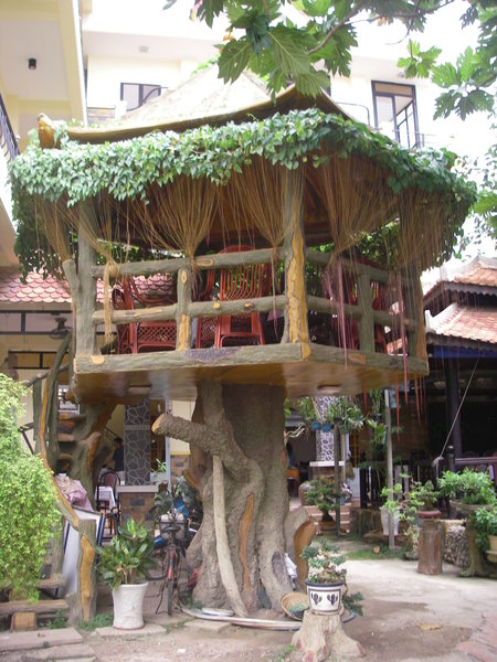 Tree house restaurant