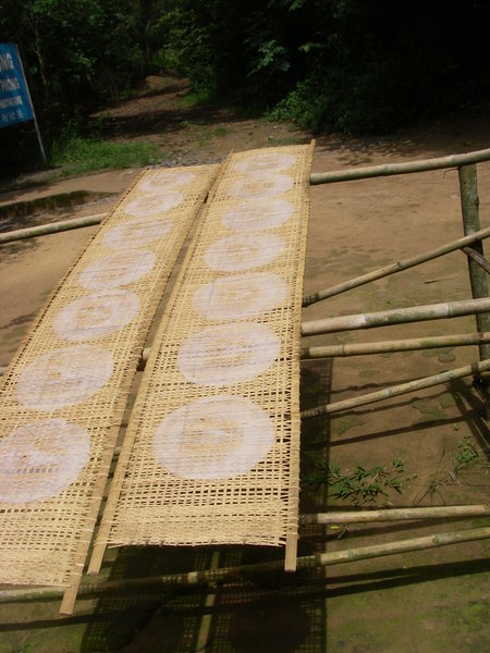 Rice paper drying in sun