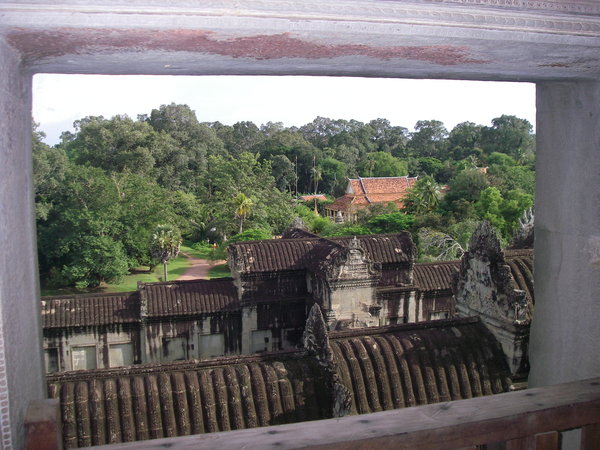 Jungle surrounding Angkor