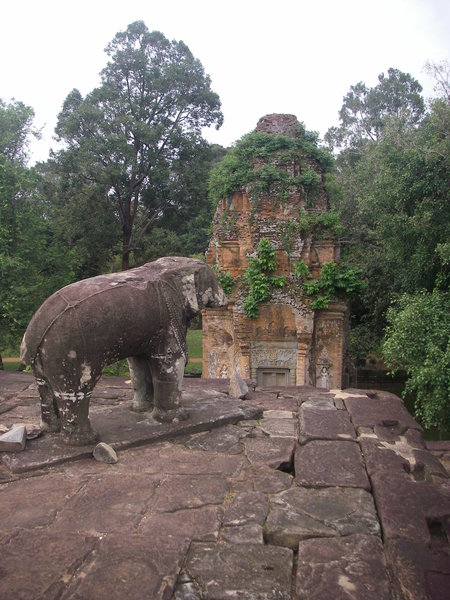 Elephant guardian