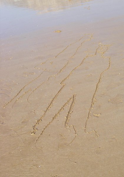 Tracing shadows in the sand