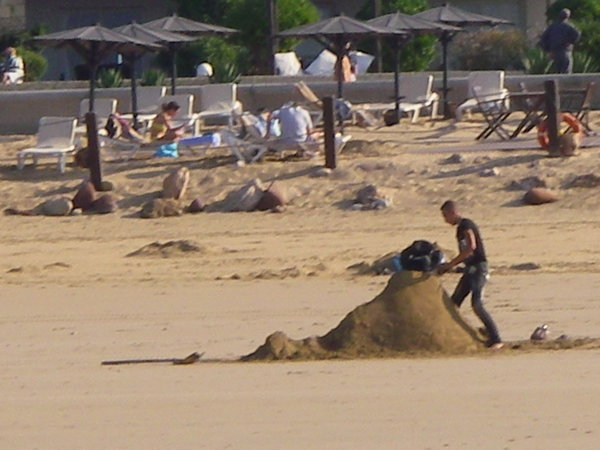Camel sand sculpture