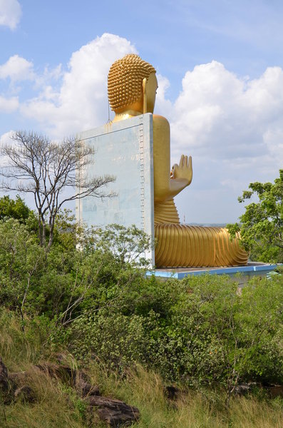 New Budha Statute