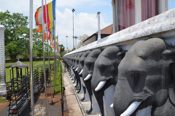 Ruwanveli Saya elephants