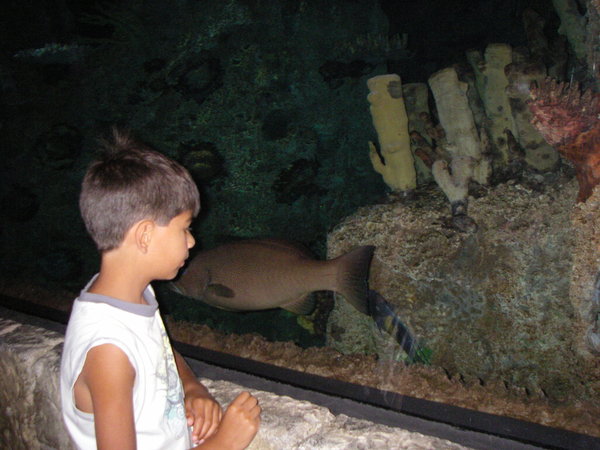 Vegas Aquarium