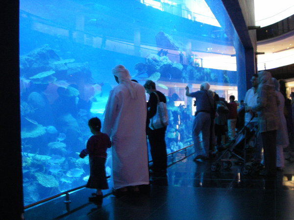 Giant Aquarium in mall