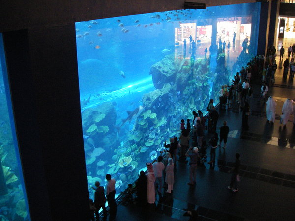 Giant Aquarium in mall