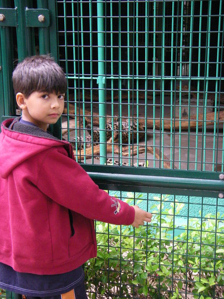 At Dubai Zoo
