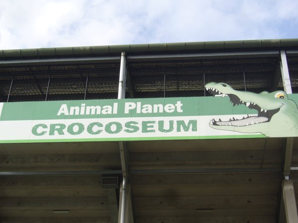 entering the "crocoseum"