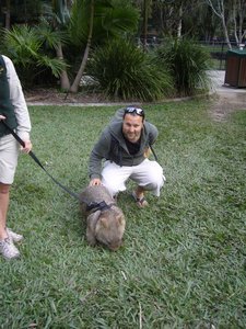 I even got to pet a wombat