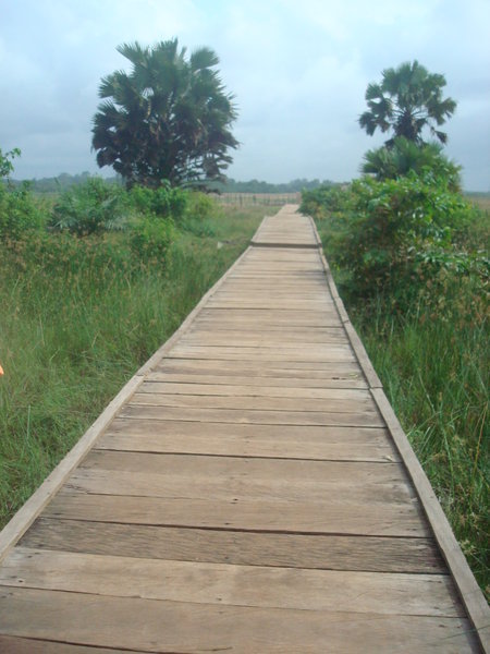 Walkway to the canoes.