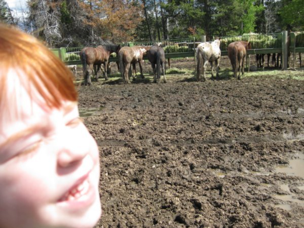 Lelah and the horses
