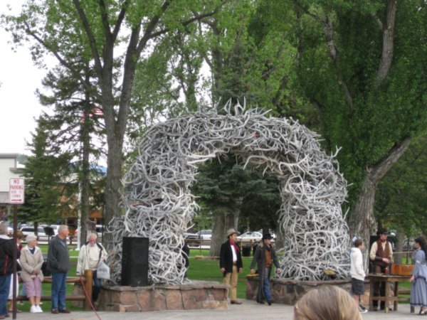 The antler arch