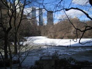 Snow covered Central Park