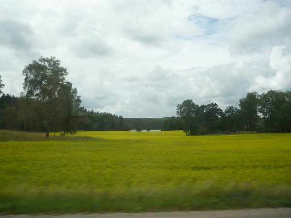on the way to uppsala