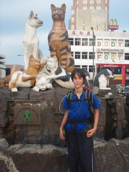 Kuching the Cat city