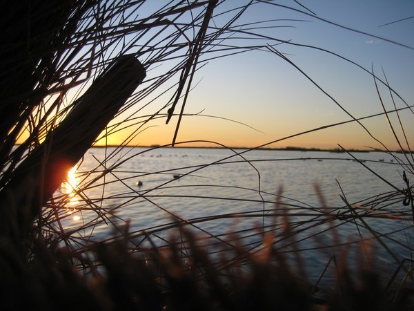 Sunrise in the Marsh