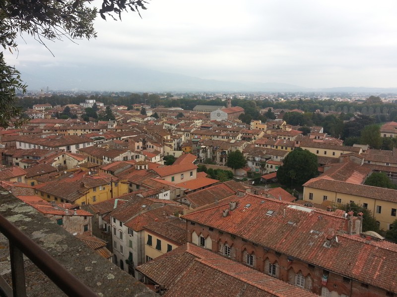 View of Lucca, the walled city