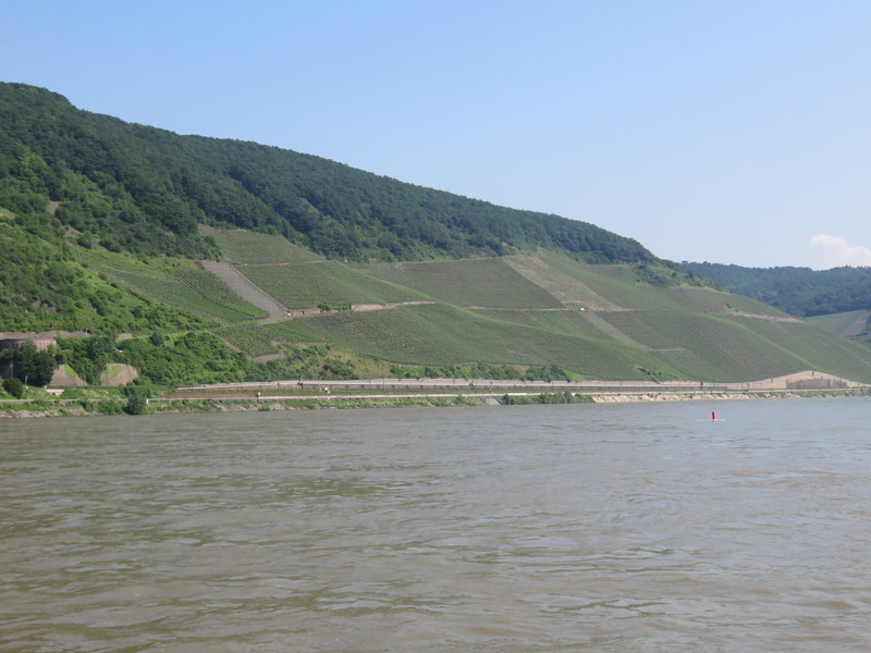 Fields along the Rhine