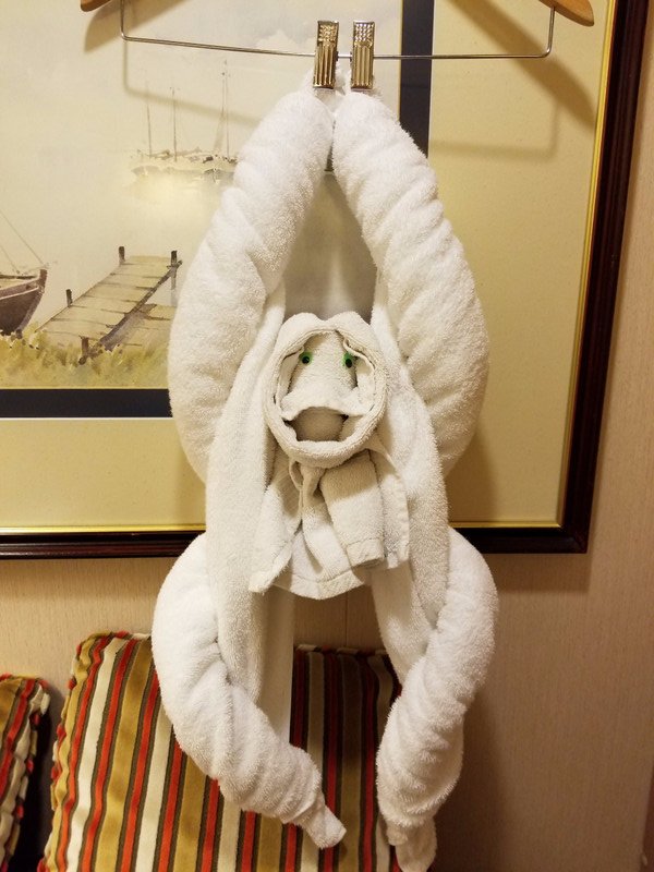 Towel Art when we returned to our room tonight.