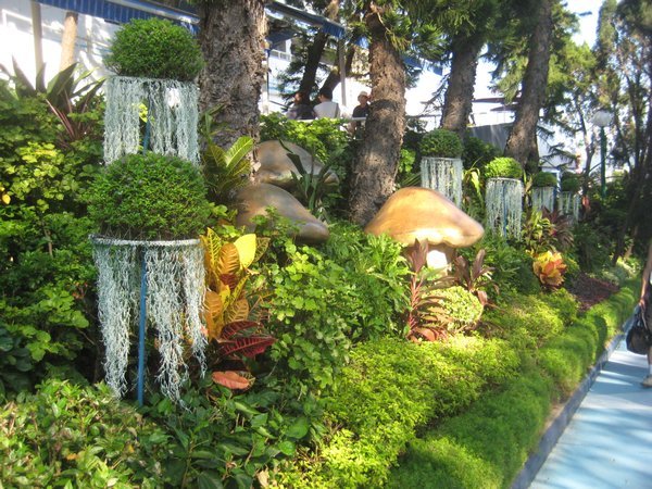 Jelly fish landscaping