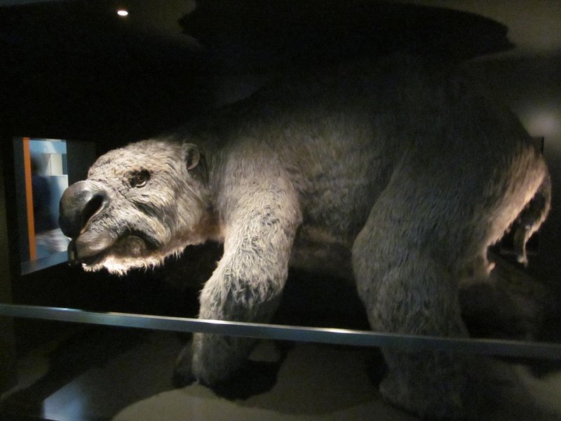 Prehistoric Marsupial