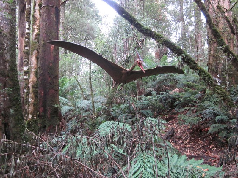 Otway National Forest