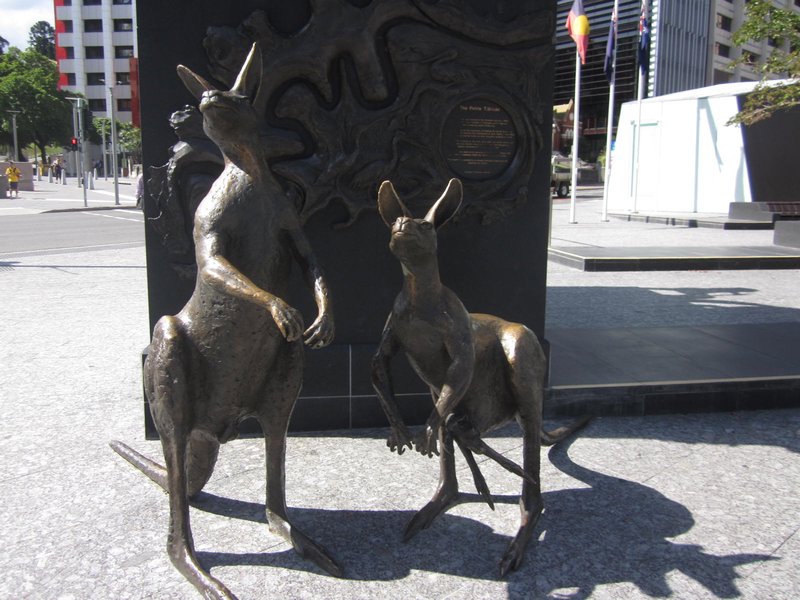 Kangaroo statues