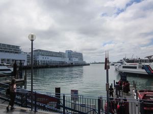 Auckland harbour