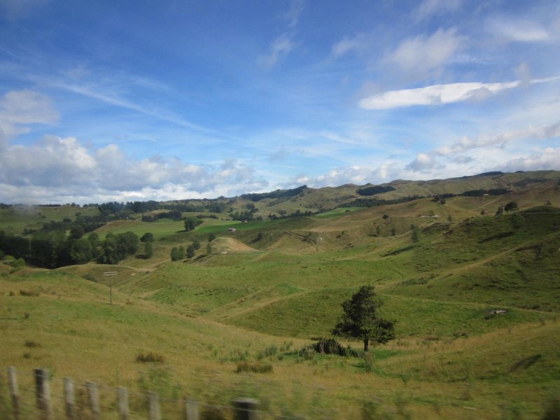 Scenery on the way to Wellington