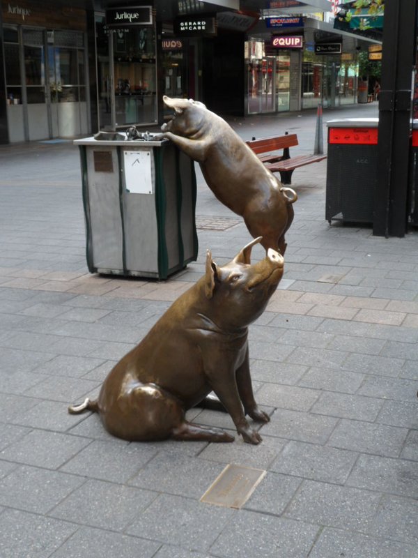 Pig Statues