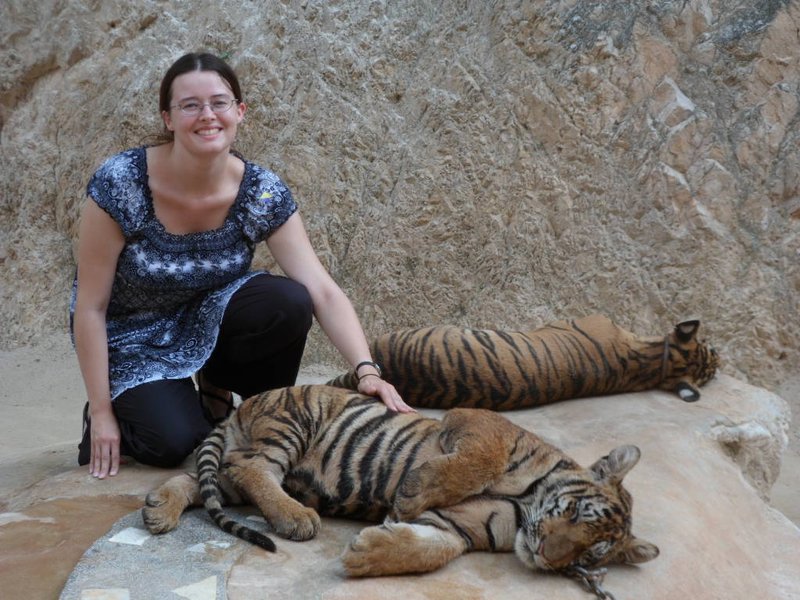 Petting a Tiger Cub