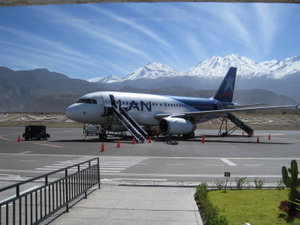 Our bird to Cusco!