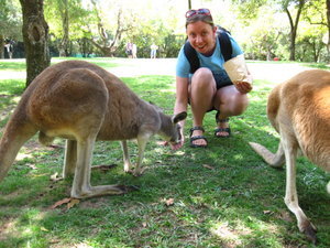 Jen feeding kangaroos!