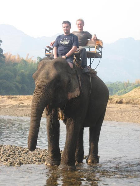 Elephant Riding 2