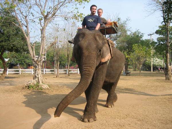 Elephant Riding 3