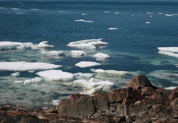 some of the sea ice lingering near the shore