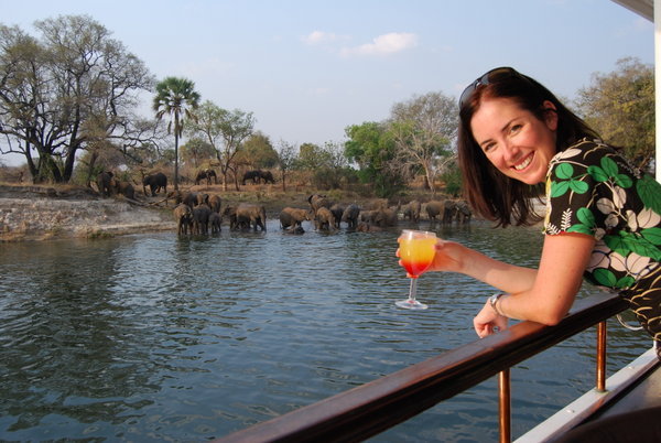 cocktails and elephants on the African Queen