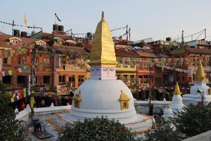 Chitwan and Kathmandu, Nepal 061