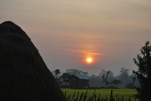 sunset over the mustard fields in Chitwan