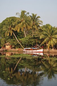 Tranquil Backwaters