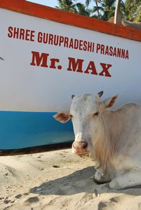 Mr Max on Palolem Beach, Goa