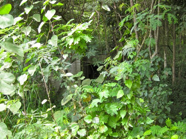 Hidden bunker used in Lost