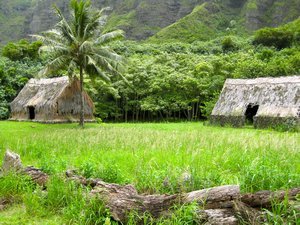 Traditional Hawaiian village