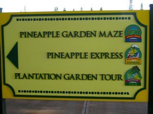 Pineapple express!