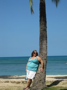Palm tree!