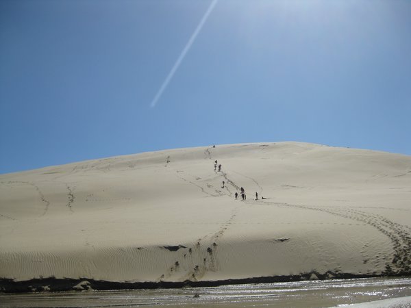 the dune