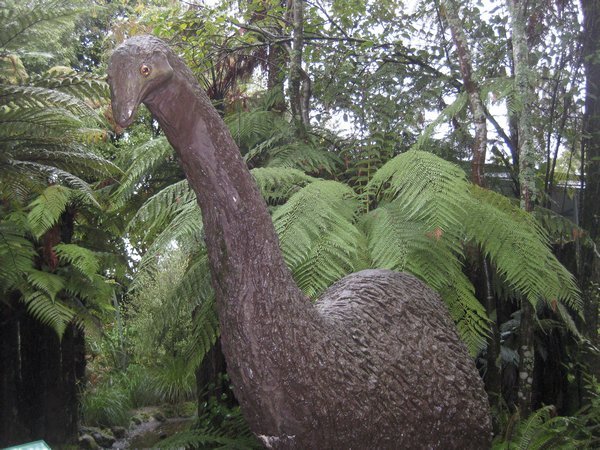 What a moa would have looked like