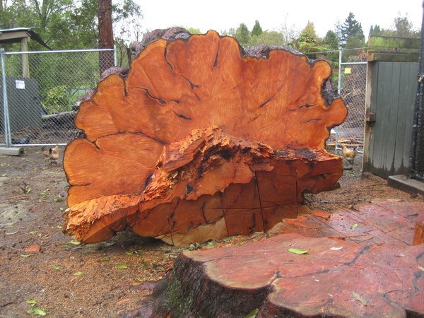 big piece of wood